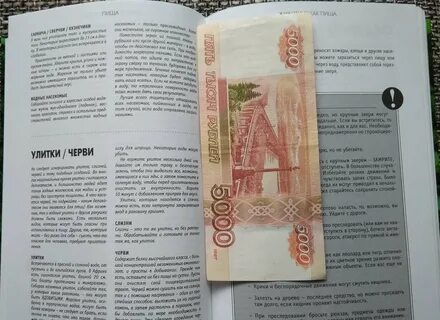 Денежная книга