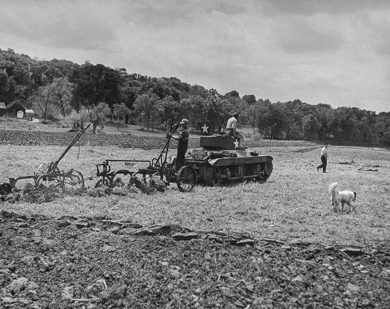 Трактор колхоз 1945. Сельское хозяйство СССР после второй мировой войны. Трактор в колхозе 1946. Фермеры Германии 1940. Сельское хозяйство в послевоенное время