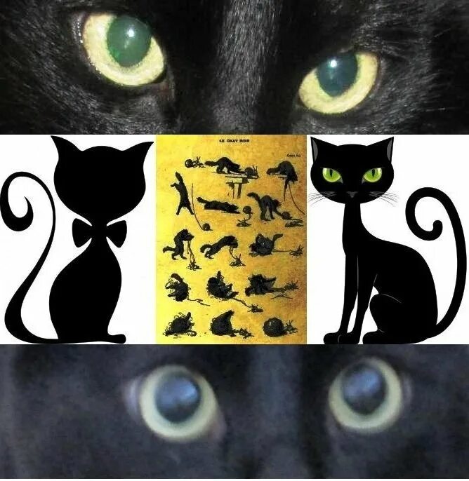 День черного кота. День черной кошки. Праздник чёрного кота. Всемирный день черных кошек. Тайны черной кошки