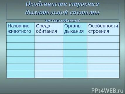 Биология 8 класс дыхание животных краткий конспект