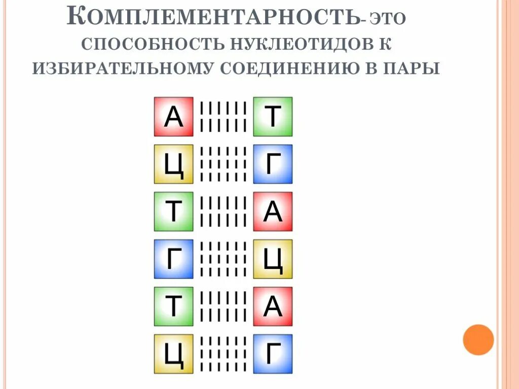 Принцип комплементарности ДНК И РНК. Принцип комплементарности таблица. Принцип комплементарности аминокислот. Комплементарность аминокислот в РНК.