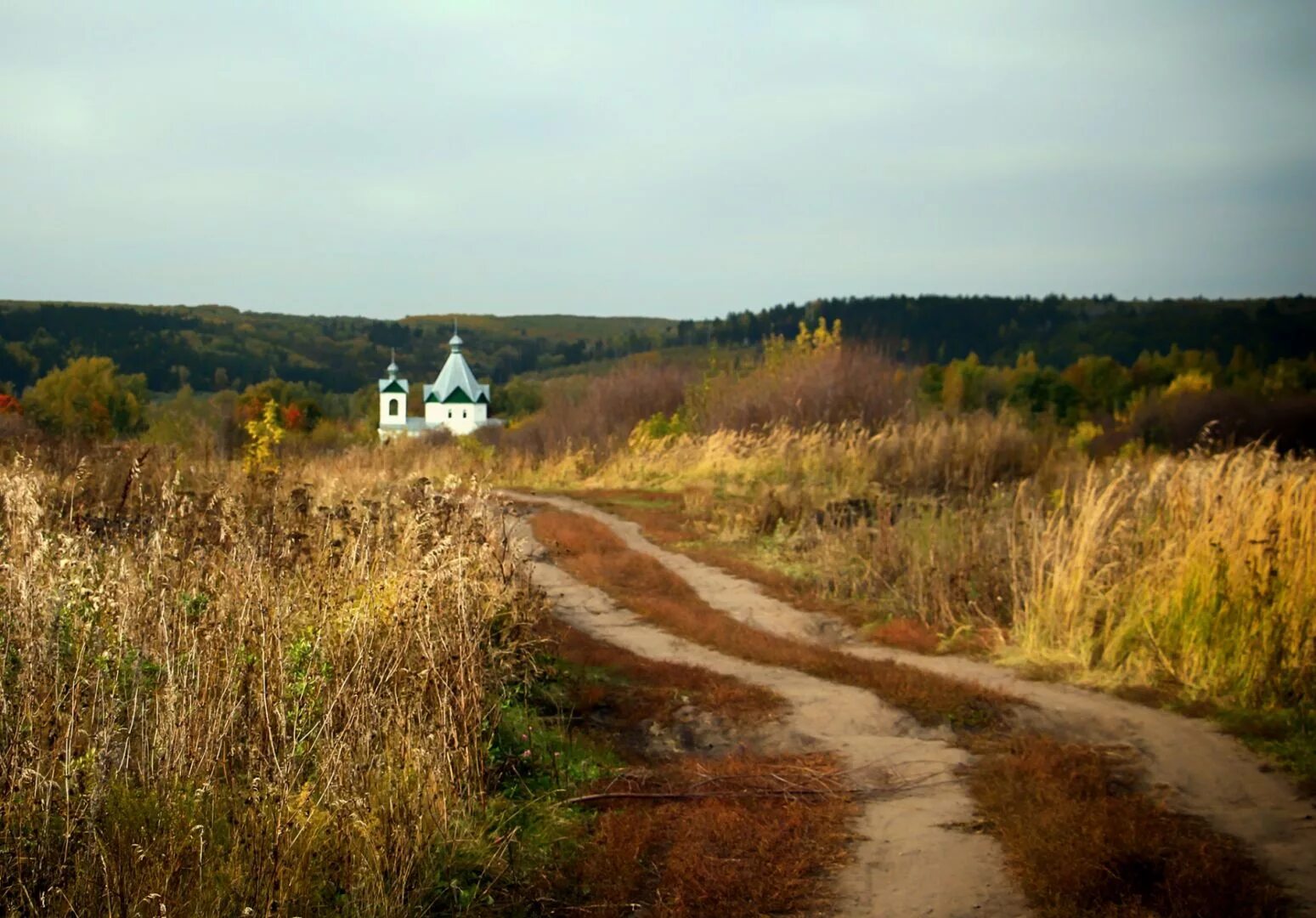 Село закричи. Село Савинское Ярославская область храм. Корытница деревня Церковь. Деревенский Погост, Ярославская область. Храм в Палашкино Владимирская область.