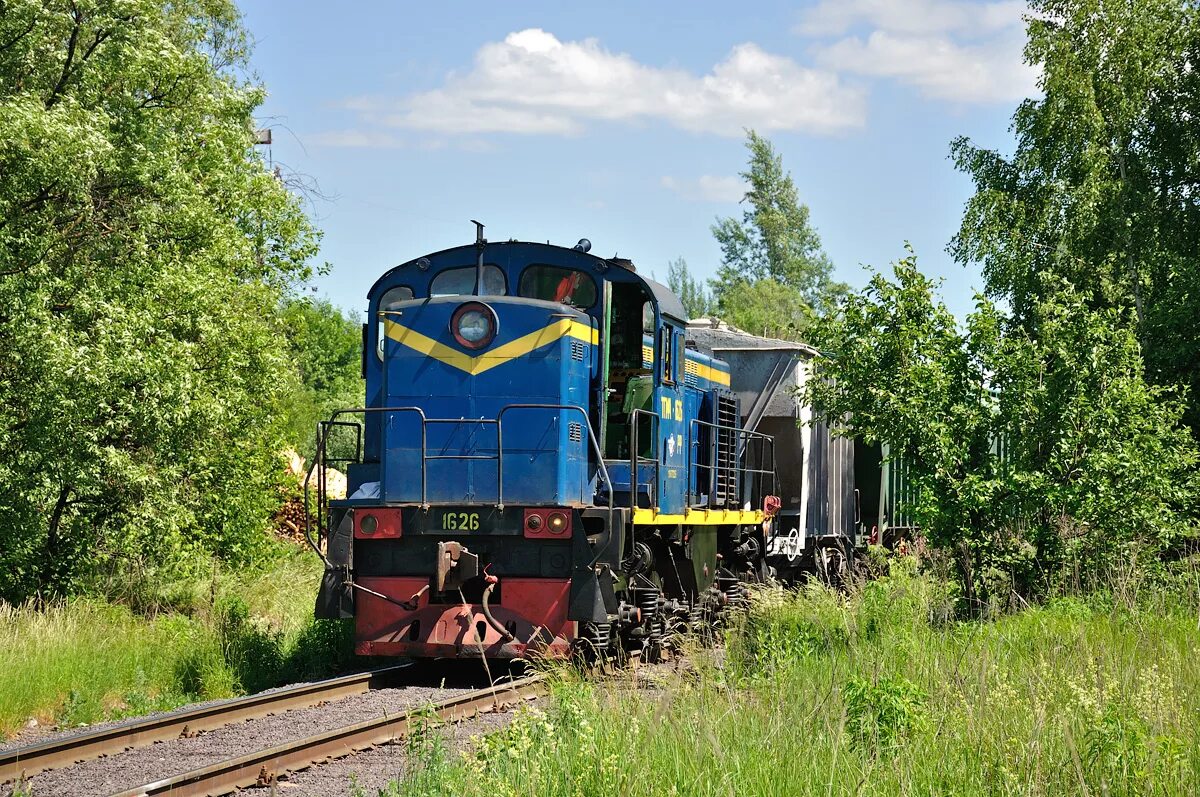 Тгм4 тепловоз. Тгм4 1146 Ногинск. Тгм23-2048. ППЖТ Жуковский.