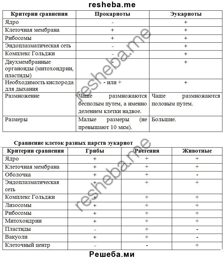 Практическая работа номер 1 строение животной клетки