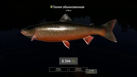 Куори приманки