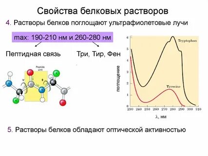 Растворы белков