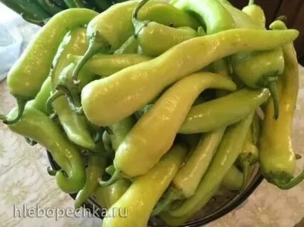 Армянский цицак на зиму