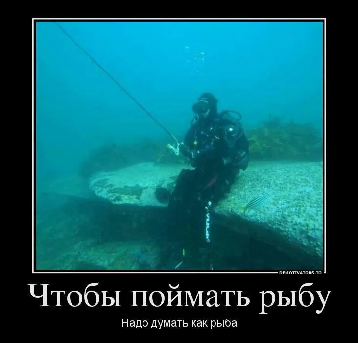 Анекдот куда вам. Можешь когда хочешь. Чтобы поймать преступника надо думать. Она хотела поймать его на. Она хотела поймать его на.