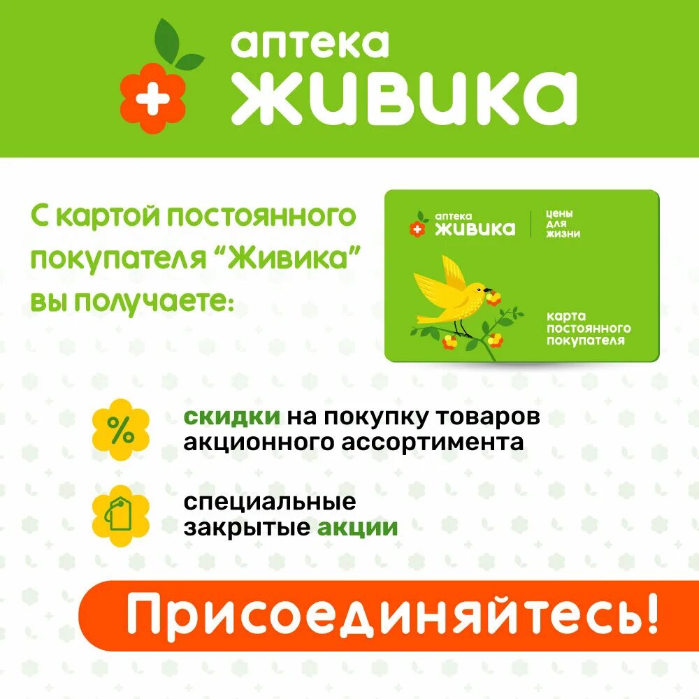 Программа и живи ка. Карта живика аптека. живика дисконтная карта. бонусная карта аптеки живика. живика карта постоянного покупателя.