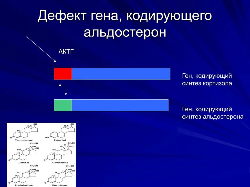 Дефектный ген что это такое. Дефект Гена. Что кодирует ген. Синтез альдостерона. Дефектный ген.