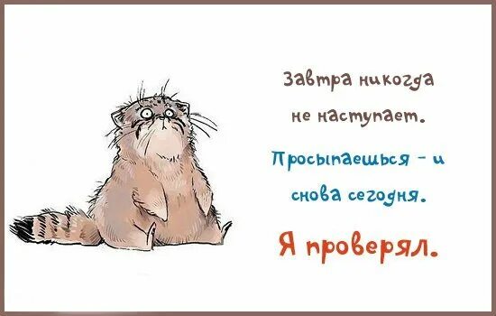 Приходите завтра. Завтра картинка. Работа берегись завтра я приду и буду тебя работать. Я завтра не приду. Приходите завтра.