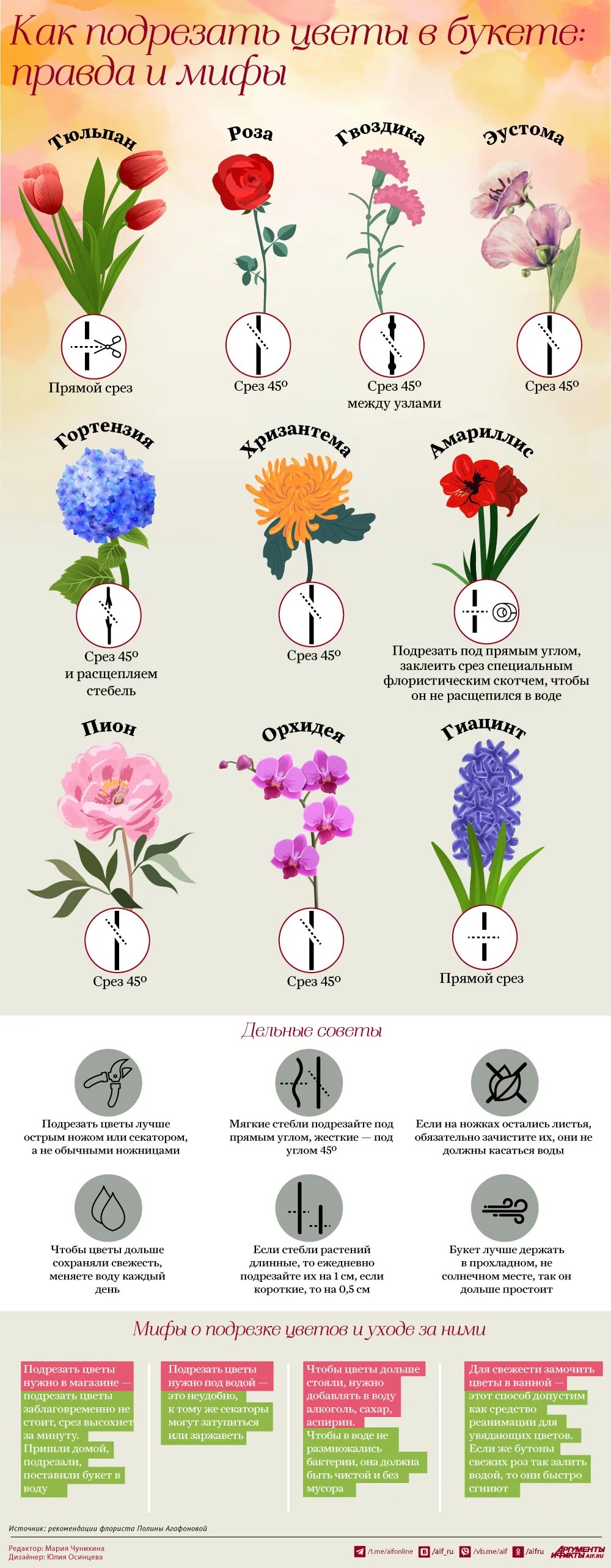 Как подрезать альстромерии. Срезанные цветы. как подрезать цветы. как правильно подрезать цветы в букете. цветы срезка.