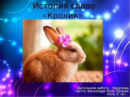 Слово крольчиха