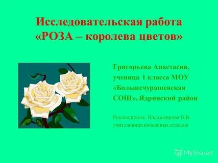 Розу работа