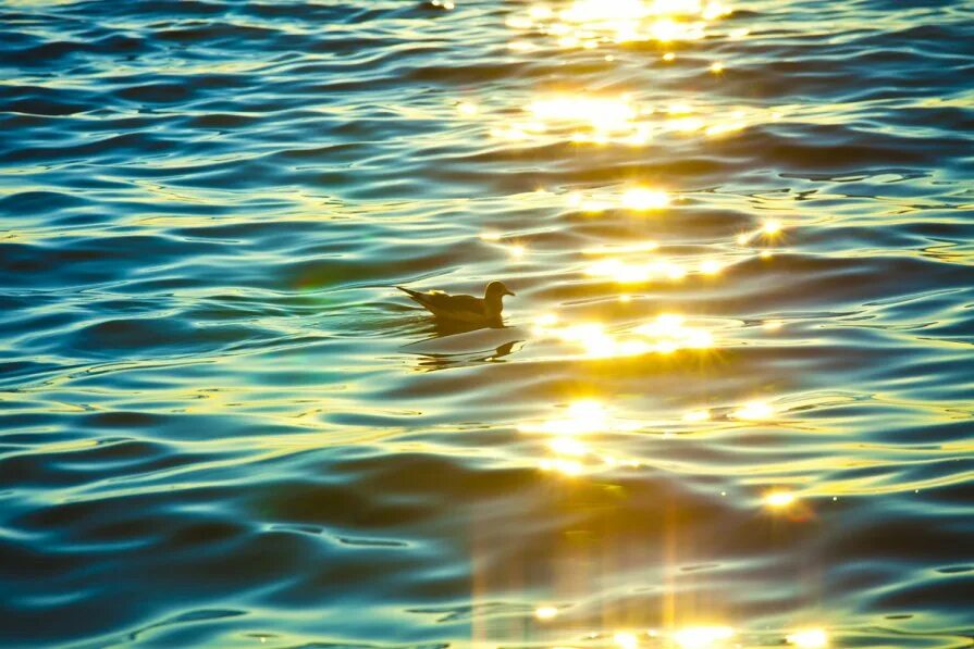 Блики на воде. Солнечные блики на воде. Отражение солнца в воде. Гладь воды. Вода едва блестела в реке