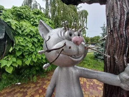 Коте воронеж