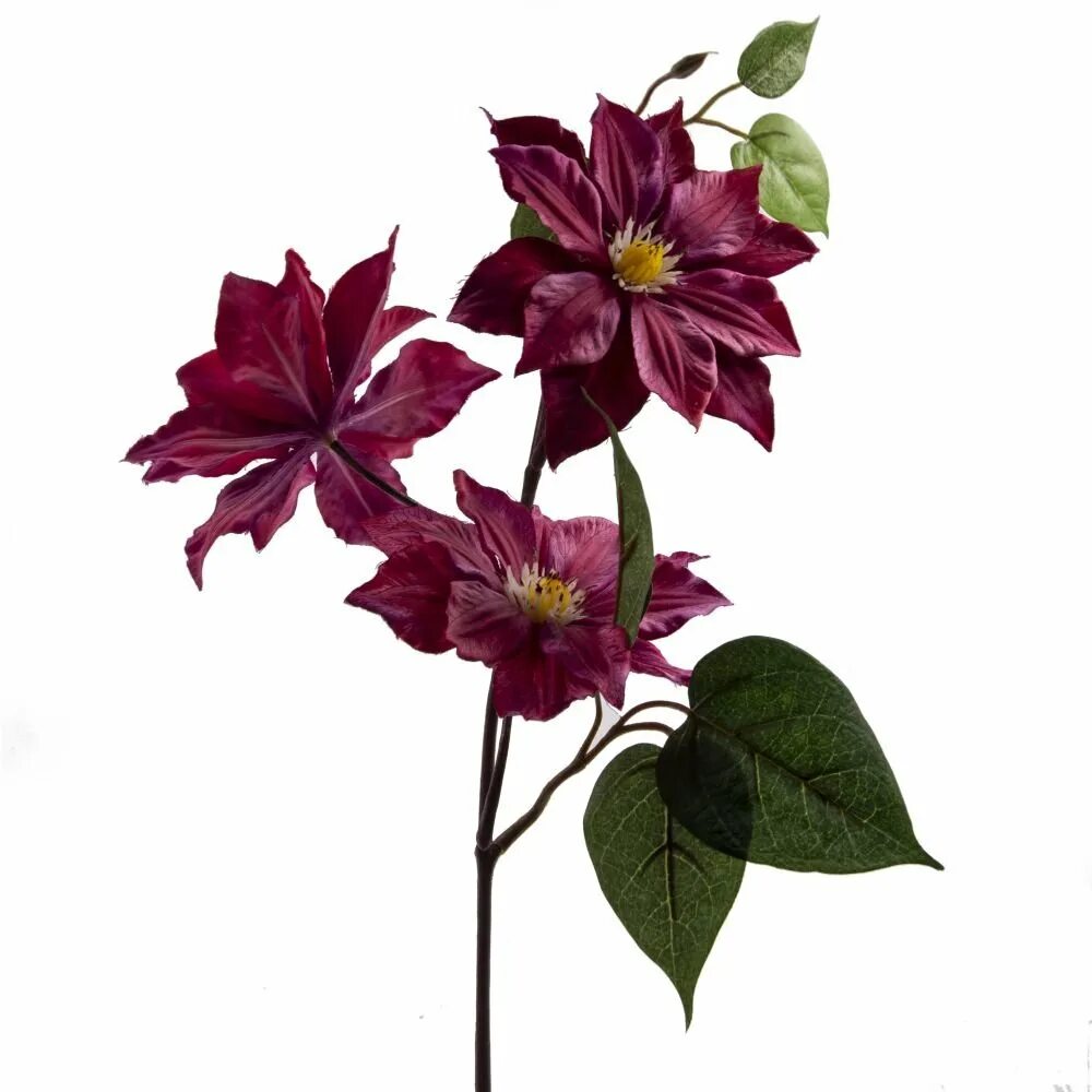 Мода конца 80-х в америке. Цветы 80 х. Цветы 80 х. Ссср 50-е. Художник гарольд измайловский.