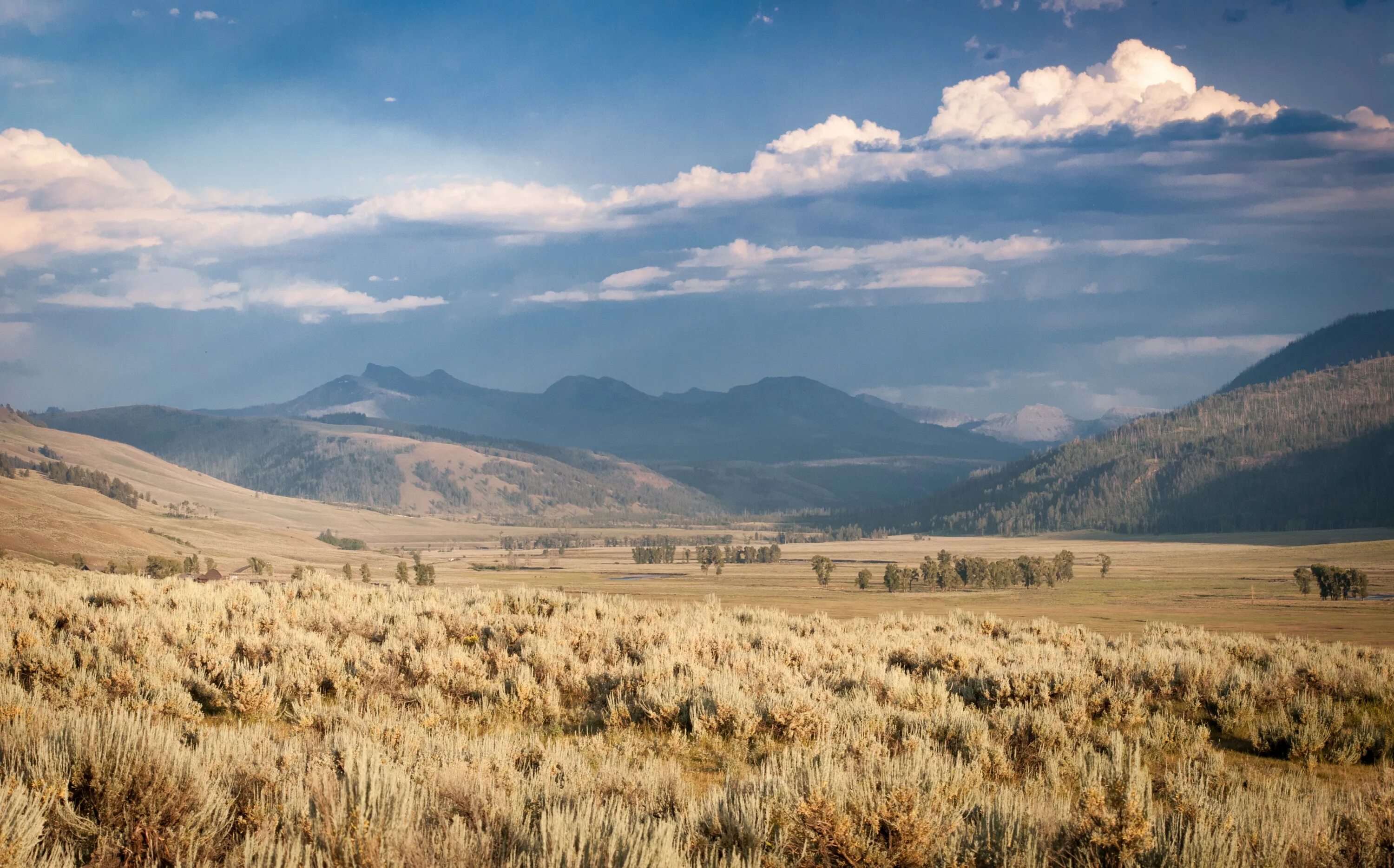 Grasslands are known by