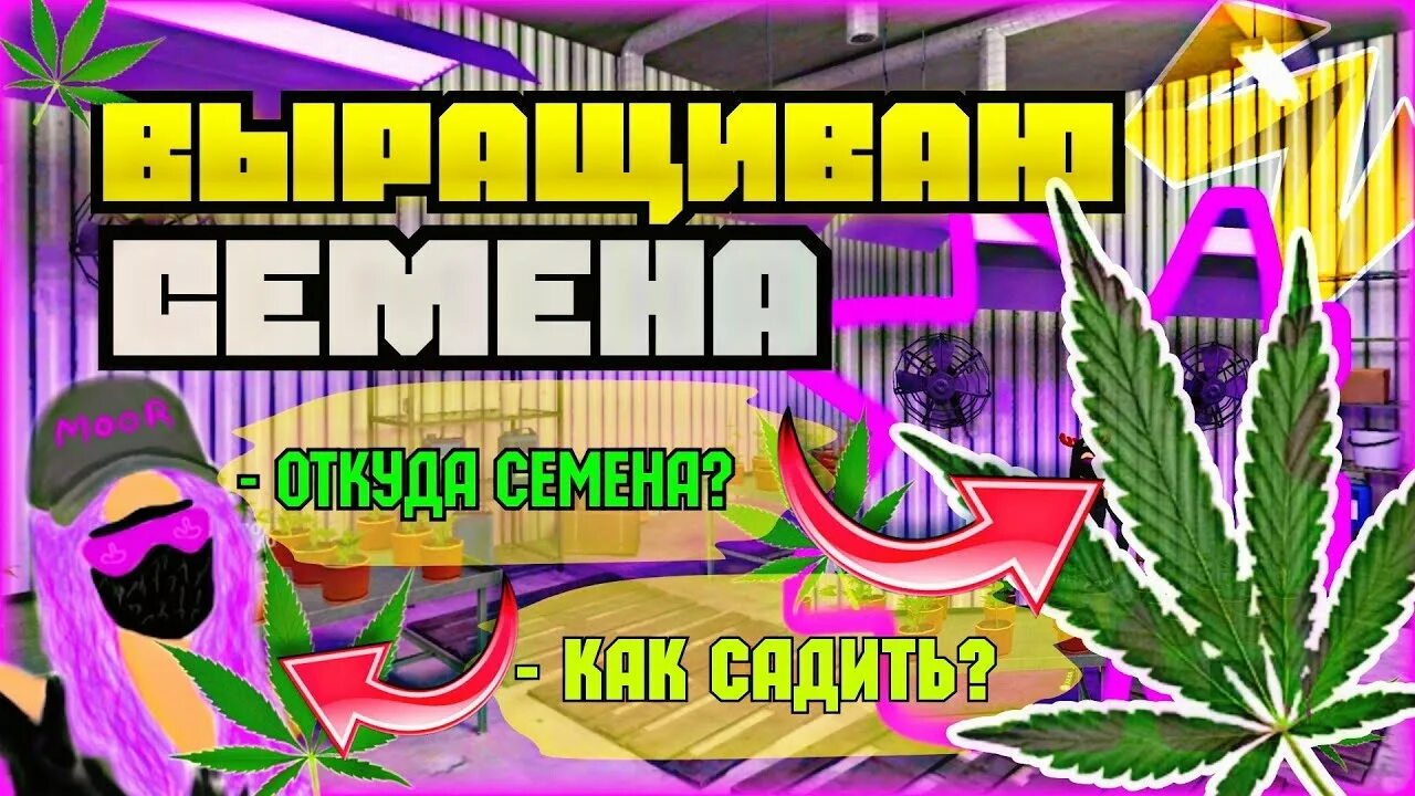 Как быстро заработать деньги в матрешка рп. Как быстро заработать деньги в матрешка рп