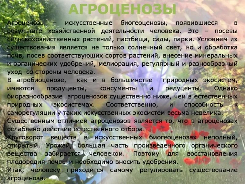 Агроценозом является. Агроценозы искусственные биогеоценозы. примером аллогенной сукцессии является. агроценоз примеры. примеры биогеоценоза и агроценоза.
