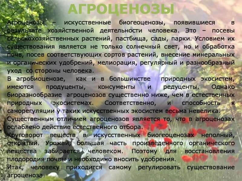 Агроценозом является. Агроценозы искусственные биогеоценозы. Примером аллогенной сукцессии является. Агроценоз примеры. Примеры биогеоценоза и агроценоза.