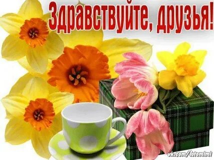 Здравствуйте картинки с надписями новыми
