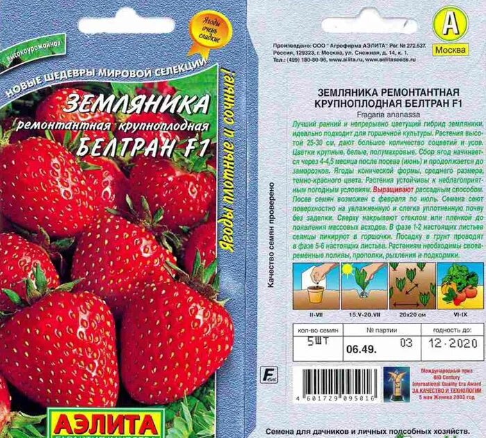 Ламбада описание сорта
