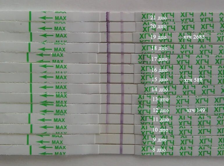 Тест на беременность при поздней овуляции. Тест на беременность и тест ХГЧ. Тесты на беременность по дням. Тест на беременность после овуляции. ХГЧ по дням после овуляции.