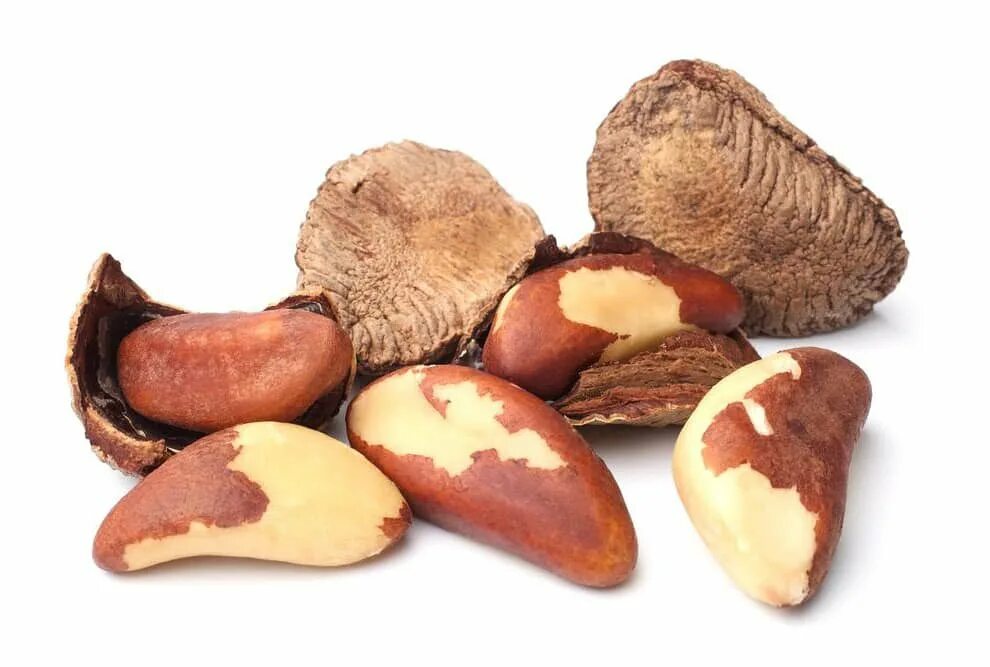 бразильский орех в скорлупе. бразильский орех в скорлупе. аргентинский орех. бразильский орех неочищенный. как выглядит бразильский орех фото в скорлупе.