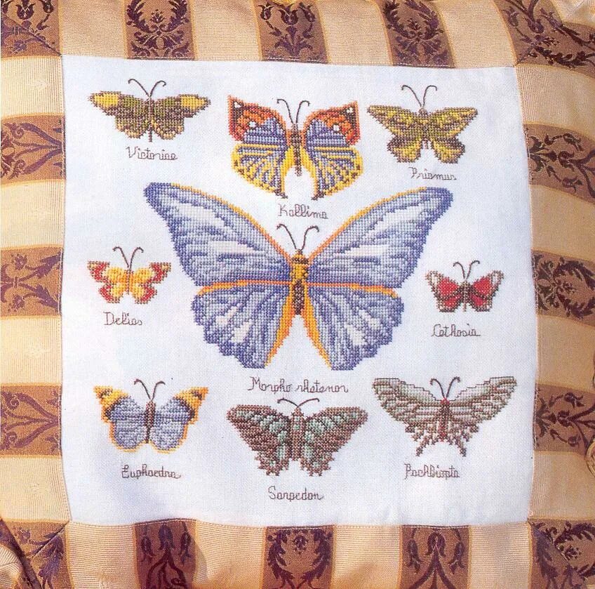 Fetching butterflies pixwox