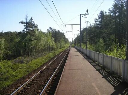 Область ломоносовский