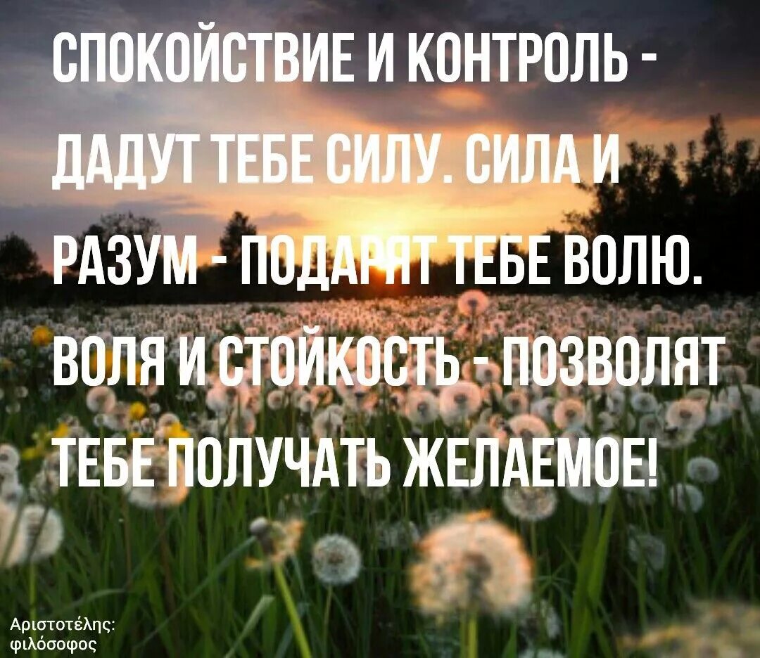 Спокойно про. Афоризмы про спокойствие. Уитаьы пол спокойствие. Душевный покой цитаты. Спокойствие цитаты.