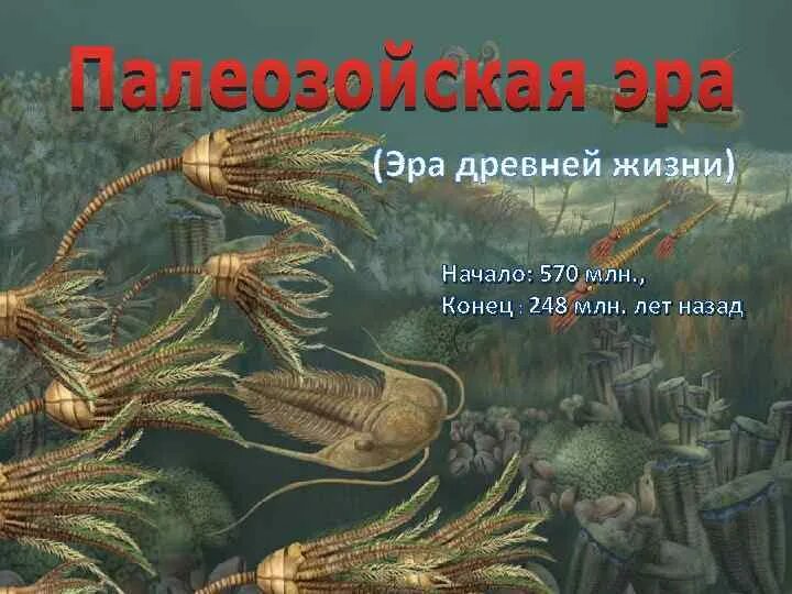 Палеозой кратко. Девонский период палеозойской эры. Биология 7 класс Палеозойская Эра. Период эпоха Палеозойская Эра. Кембрийский ордовикский силурийский.