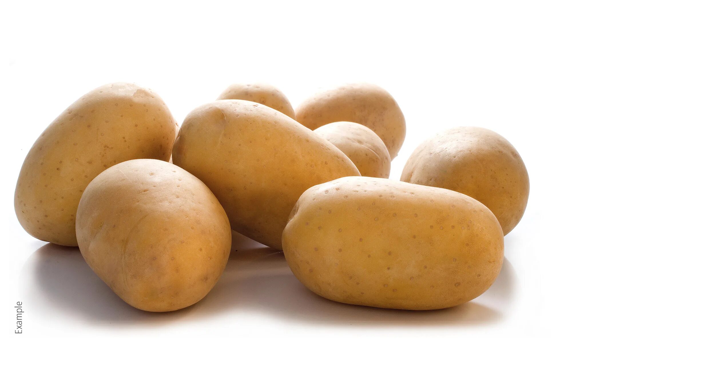 Сорт картофеля Бернина. Картофель Бернина ЕВРОПЛАНТ. Сорт картофеля отолия.