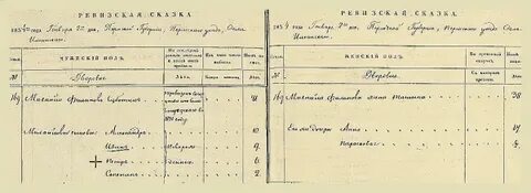 Ревизские сказки пермского уезда