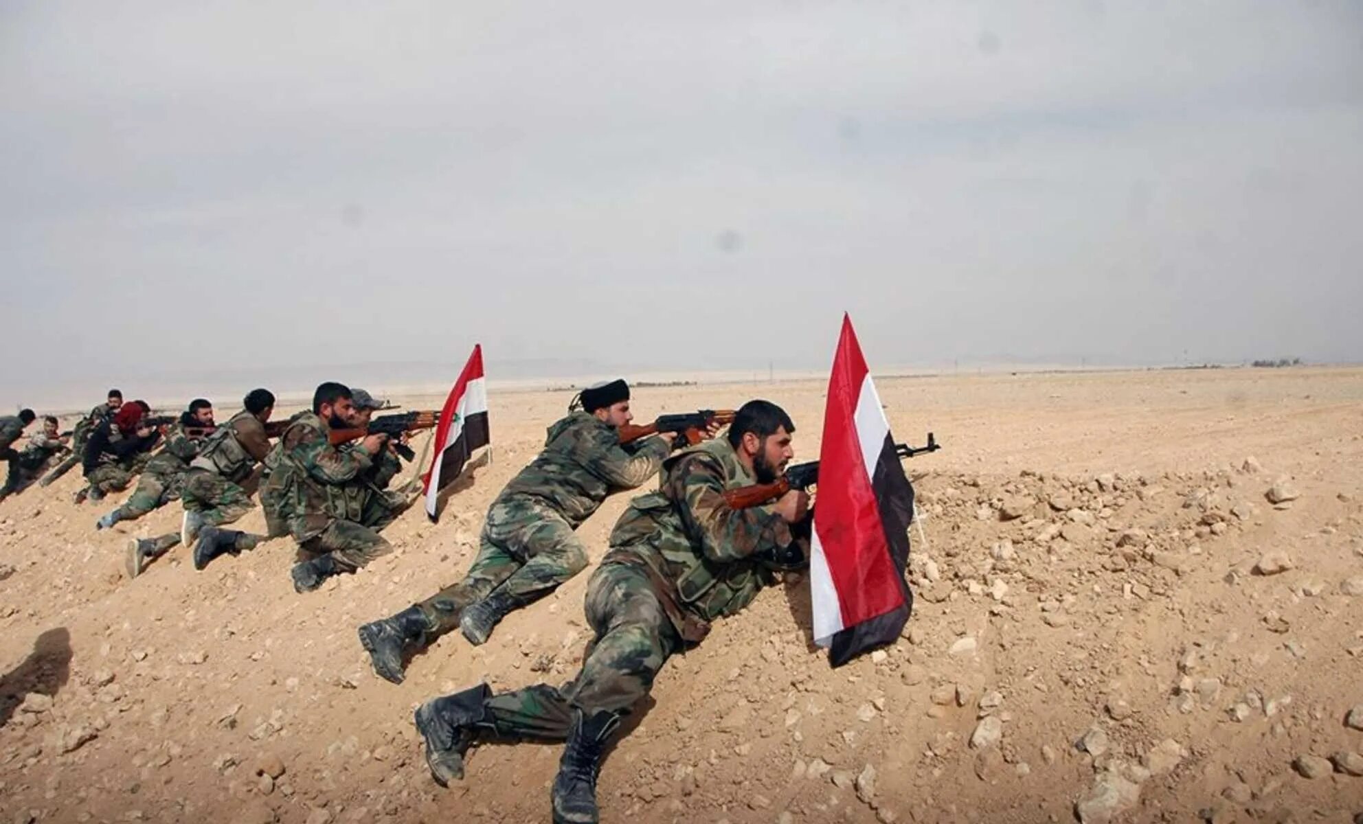 Союзные силы в сирии. Сирийская арабская армия (САА). Армия арабов. Охранение в пустыне. Армия ОАЭ.