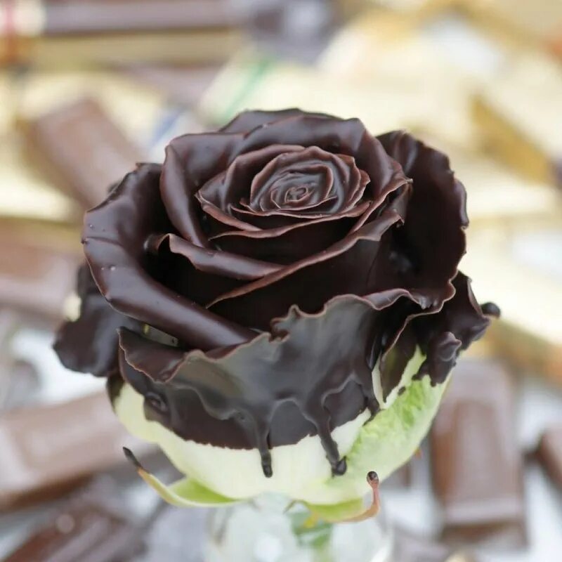 Розочки из шоколада. Шоколадные цветы. Шоколадные розы. Цветы из шоколада. Шоколадный цвет.