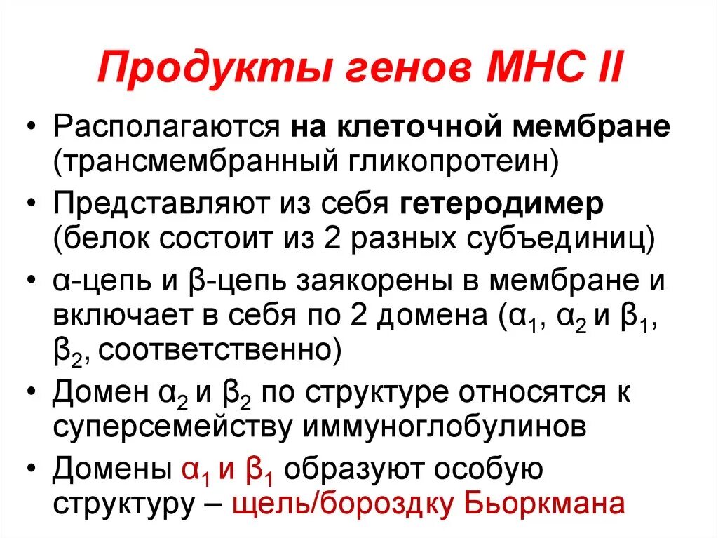 Продукты гена. Продукты гена. Продукты гена. Продукты гена. Hla комплекс гистосовместимости.