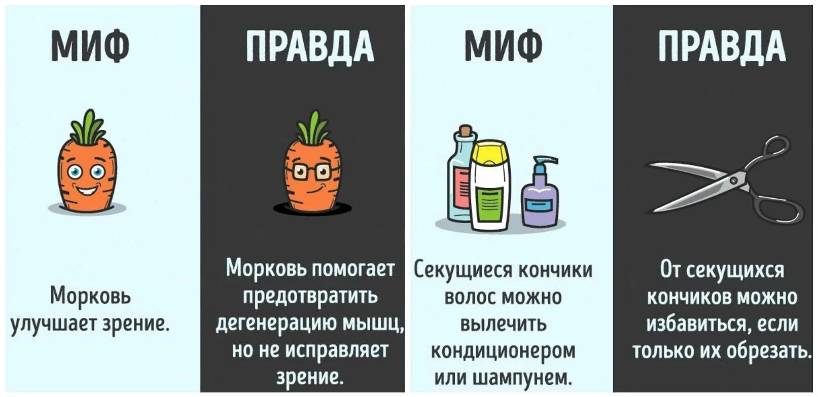 Правда ли что есть можно все. Мифы и правда о волосах. Мифы о волосах правда и вымысел. Миф правда. Правда или миф о волосах.