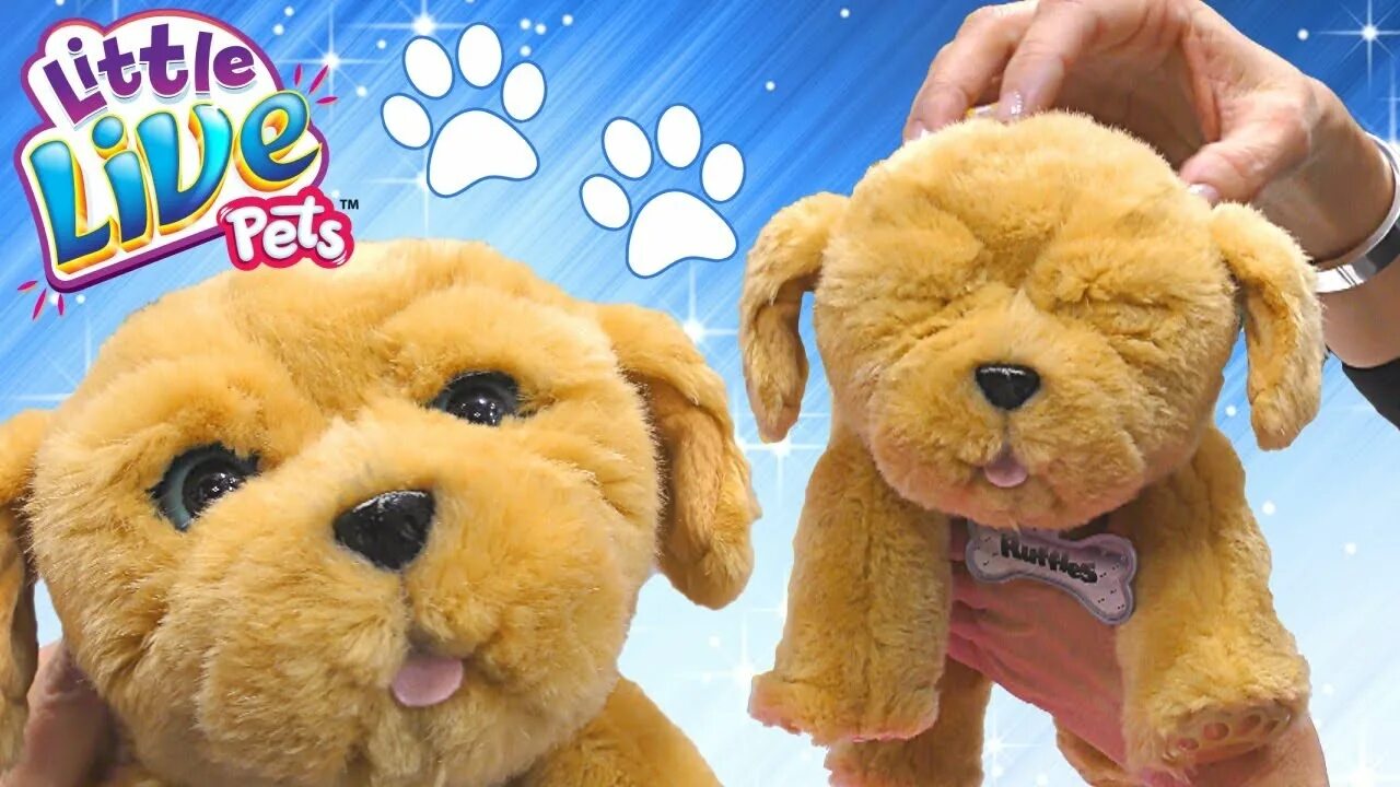 Little Live Pets Snuggles щенок. Собачка игрушка из рекламы. Щенок игрушка из рекламы. Игрушка собака из рекламы на карусели. Рекламировать игрушки