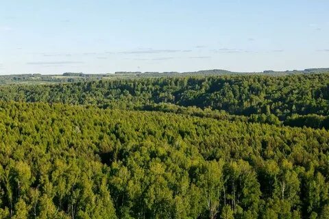 Погода в егорьевское маслянинский