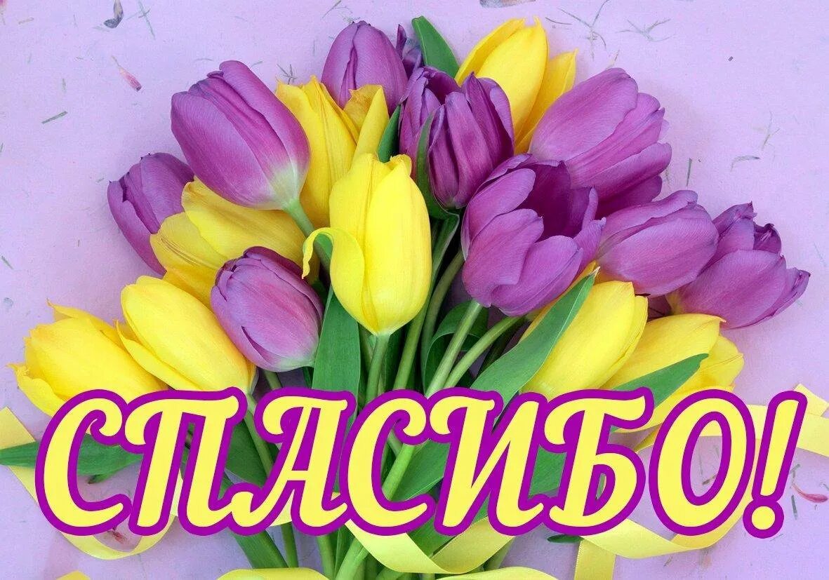 Фото спасибо. Открытка спасибо. Открытки спасибо большое. Откр. Спасибо.. Открытки с благодарностью спасибо.