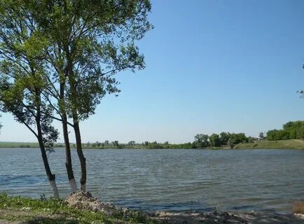 Прилепы рыбалка