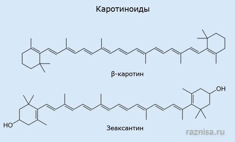 Пигмент каротиноиды. Хлорофилл ксантофилл каротин. Структурная формула ксантофилла. Каротин формула. Каротиноиды структурная формула.