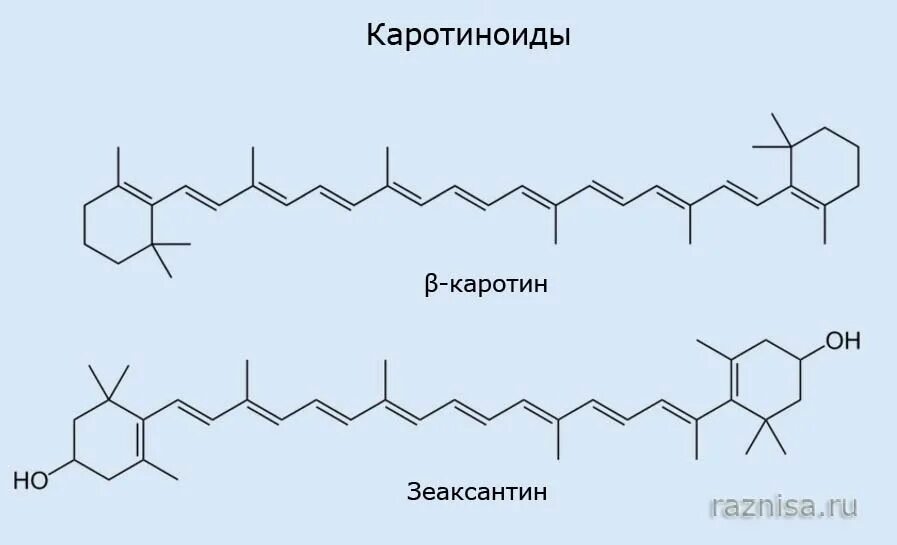 Хлорофилл каротин. Каротин ксантофилл антоциан. каротиноиды каротины и ксантофиллы. хлорофилл ксантофилл каротин. ксантофилл химическая формула.