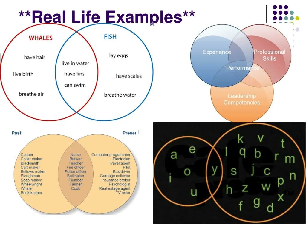 Life примеры. Real Life example. Venn diagram ppt. Venn diagram presentation. Function life