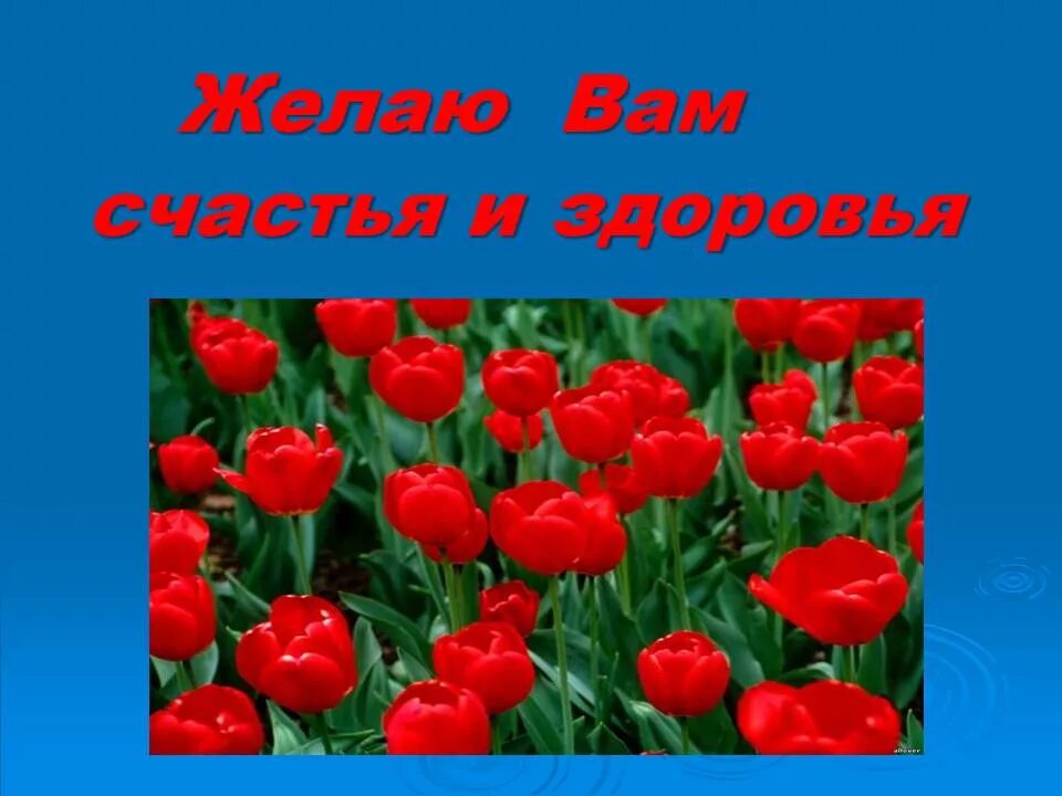 Пожелание долгих лет. Пожелания крепкого здоровья. Счастья здоровья. Желаю вам здоровья. Счастья вам и здоровья.