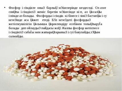 Ира атасы порно