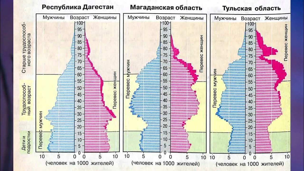 Соотношение мужчин и женщин география 8 класс. Что такое Половозрастная пирамида в географии 8 класс. Половозрастные пирамиды регионов России. Учимся с полярной звездой 8 класс география половозрастные пирамиды.