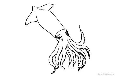 Рисунок кальмара